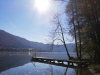 Steg im Herbst