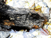kunst43