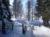 Winterlandschaft